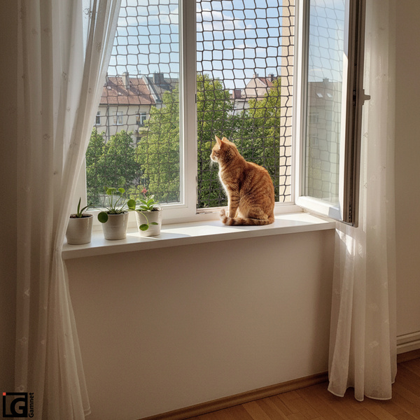 Siatka zabezpieczająca w oplocie - kolor szary - 80x80cm